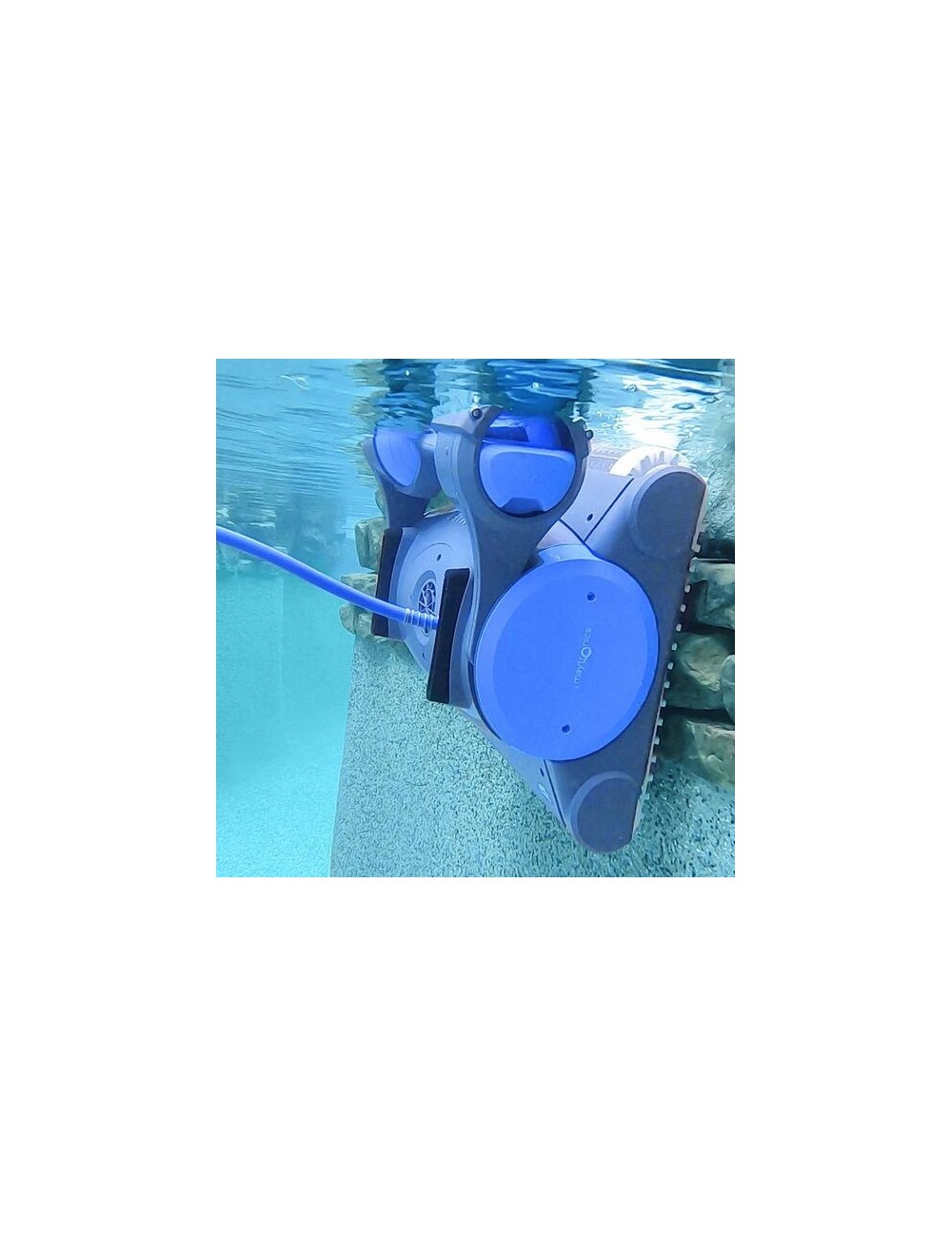 Robot Piscina Dolphin Pulitore automatico PREMIER con spazzole PVC